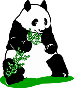パンダのイラスト/笹を食べる