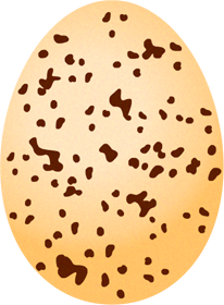 ツバメの卵イラスト