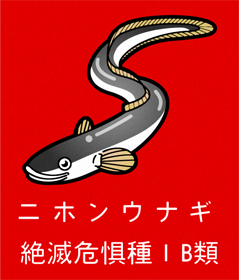 日本鰻のイラスト/絶滅危惧種