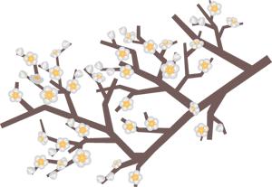 白い梅の花イラスト