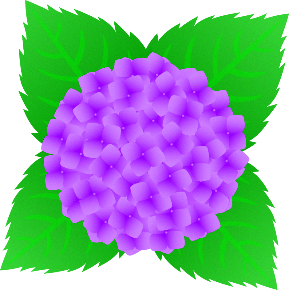 紫陽花のイラスト/紫色